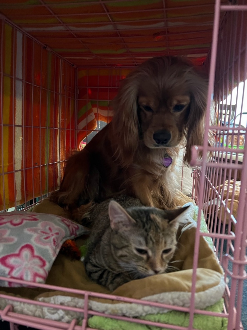 Not for sale Kelcey & Charlie say shop my moms closet and make offers